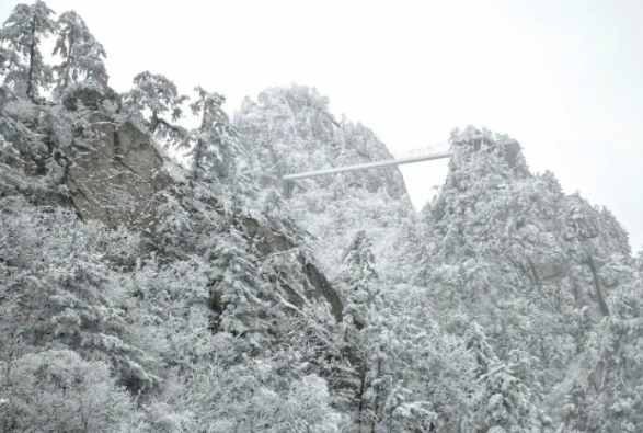 老界岭：落雪雾凇美如仙境