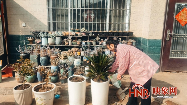 ����أ����조����ͥԺ�� ���������ǡ�֧��