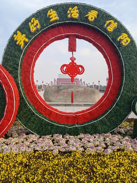 精致建设用心管护市民花园信阳市城管局调研推进百花园区域综合改造及