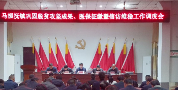 唐河县马振抚镇全力打好城乡居民医保征缴工作收官战