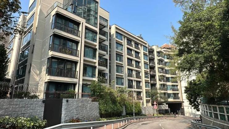 但仍然在经济上支持前夫一家,包括以逾7000万元购入何文田加多利山