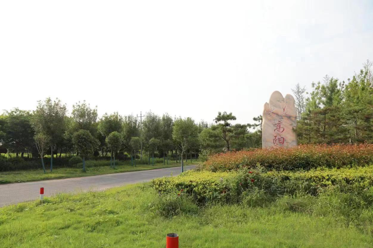 杞县高阳镇10个村庄荣获河南省卫生村