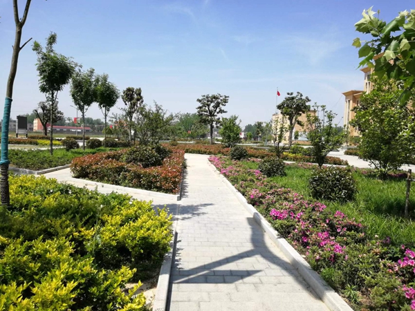 信阳市固始县徐集镇健全长效机制提升乡村颜值