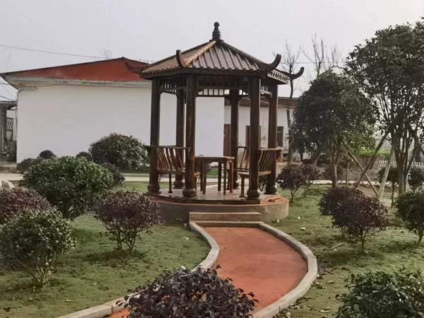 信阳市固始县徐集镇健全长效机制提升乡村颜值