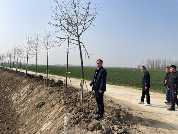 平舆县杨埠镇植树造林绘新绿点亮生态宜居星