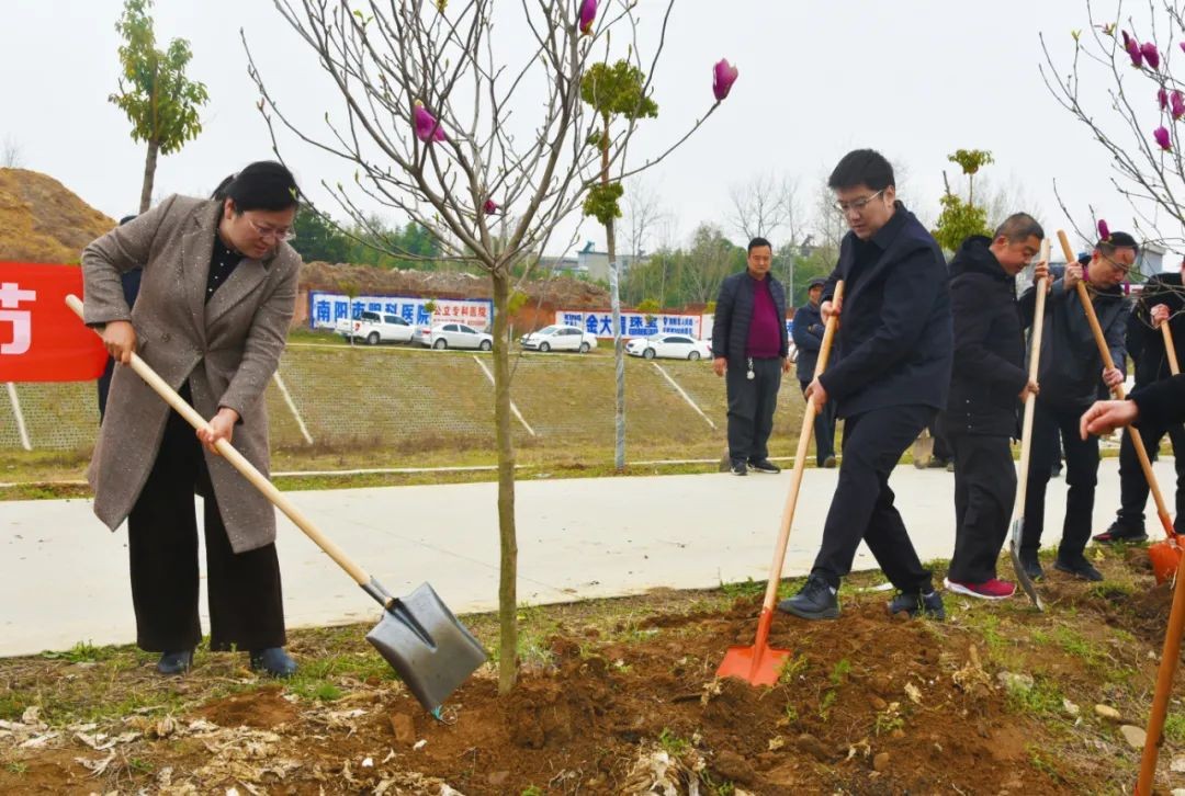 南阳市卧龙区石桥镇组织开展义务植树活动植此青绿不负春光