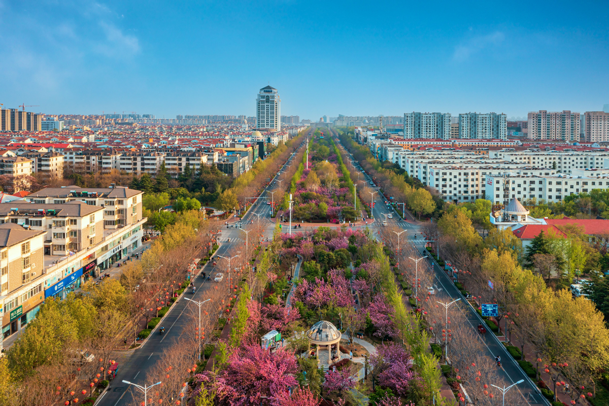 浪漫樱缘因鹤牵2023第九届中国鹤壁樱花文化节浪漫启幕