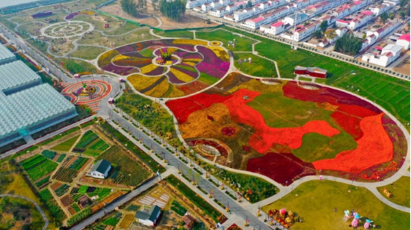 开封市祥符区西姜寨乡凝聚统战力量助力五星支部创建