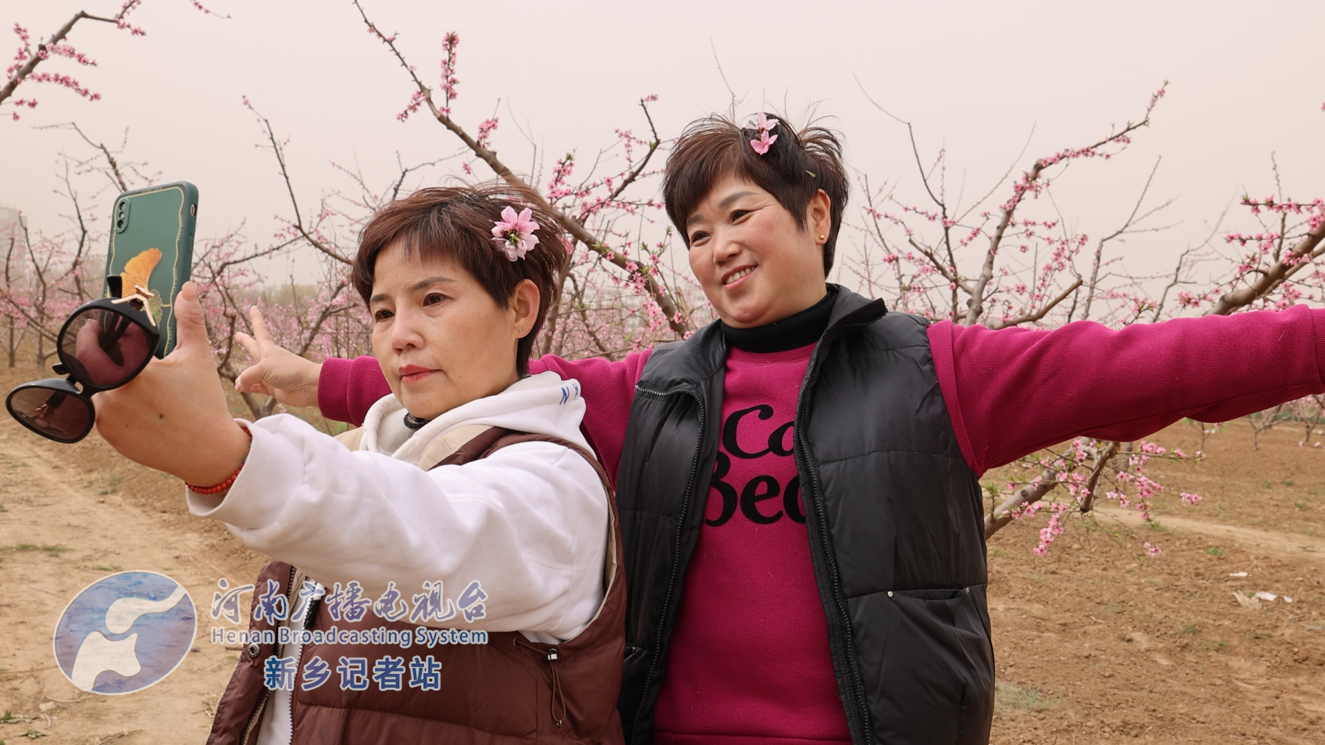 做好桃经济卫辉市第26届桃花节开幕