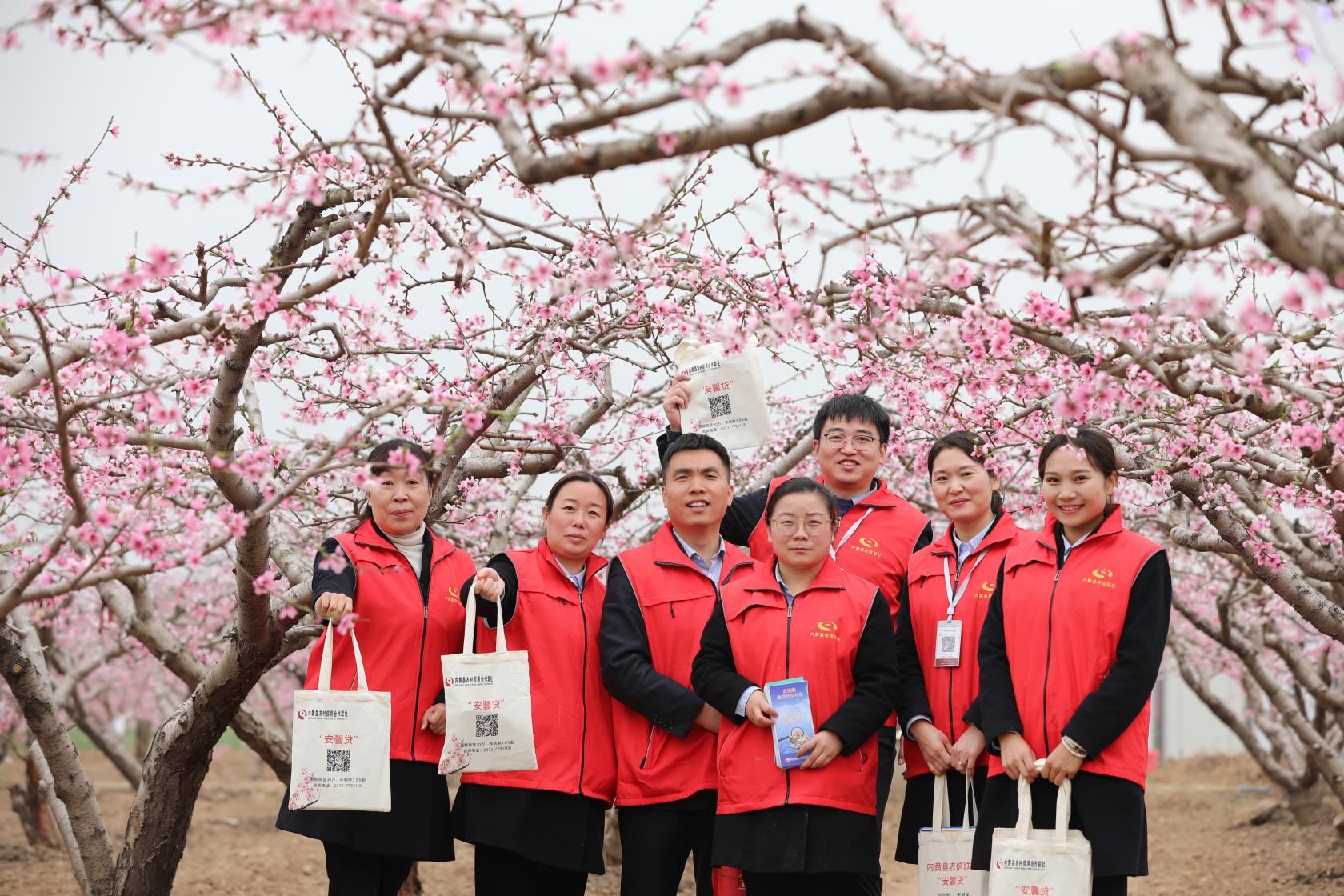 桃花灼灼醉美豆公内黄县农信联社以花为媒桃花节上融味浓