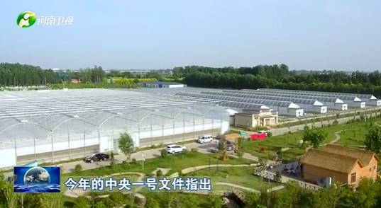 【新闻链接】 产业有特色 振兴有奔头