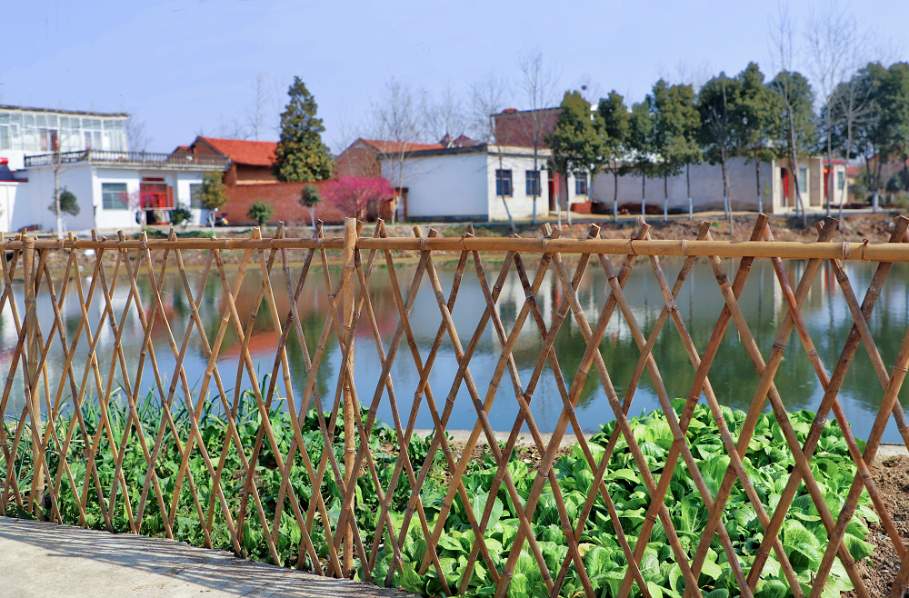 商城县汪桥镇:点亮"生态宜居星" 打造美好宜居幸福乡村