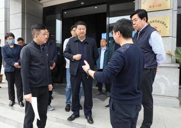 信阳市浉河区区长赵军华调研督导区茶庄园建设