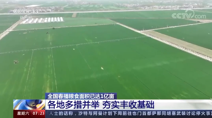 【央視關注河南】周口 安陽：夯實小麥豐收基礎