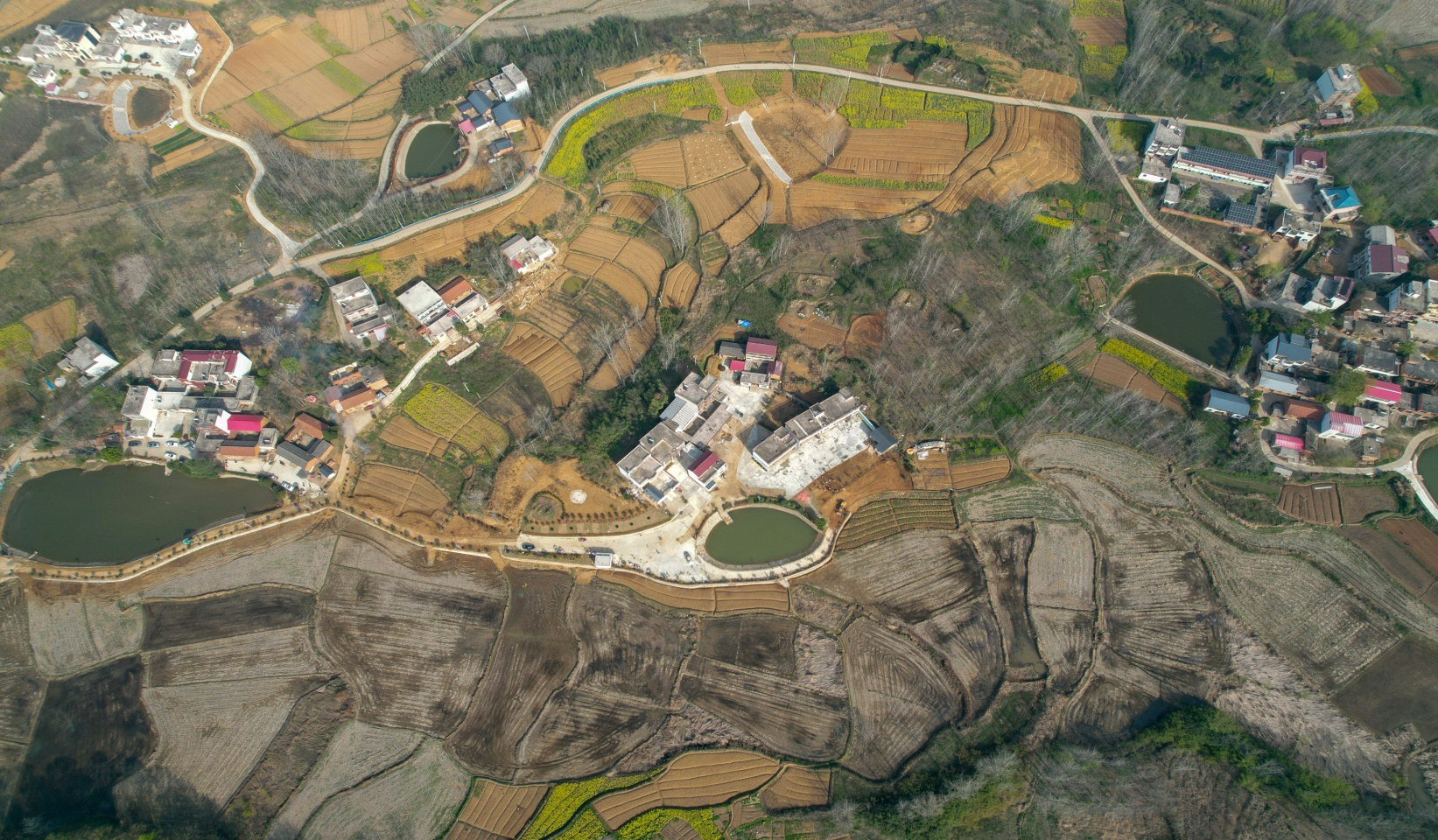 商城县汪桥镇人居环境展新绿秀美乡村添新趣