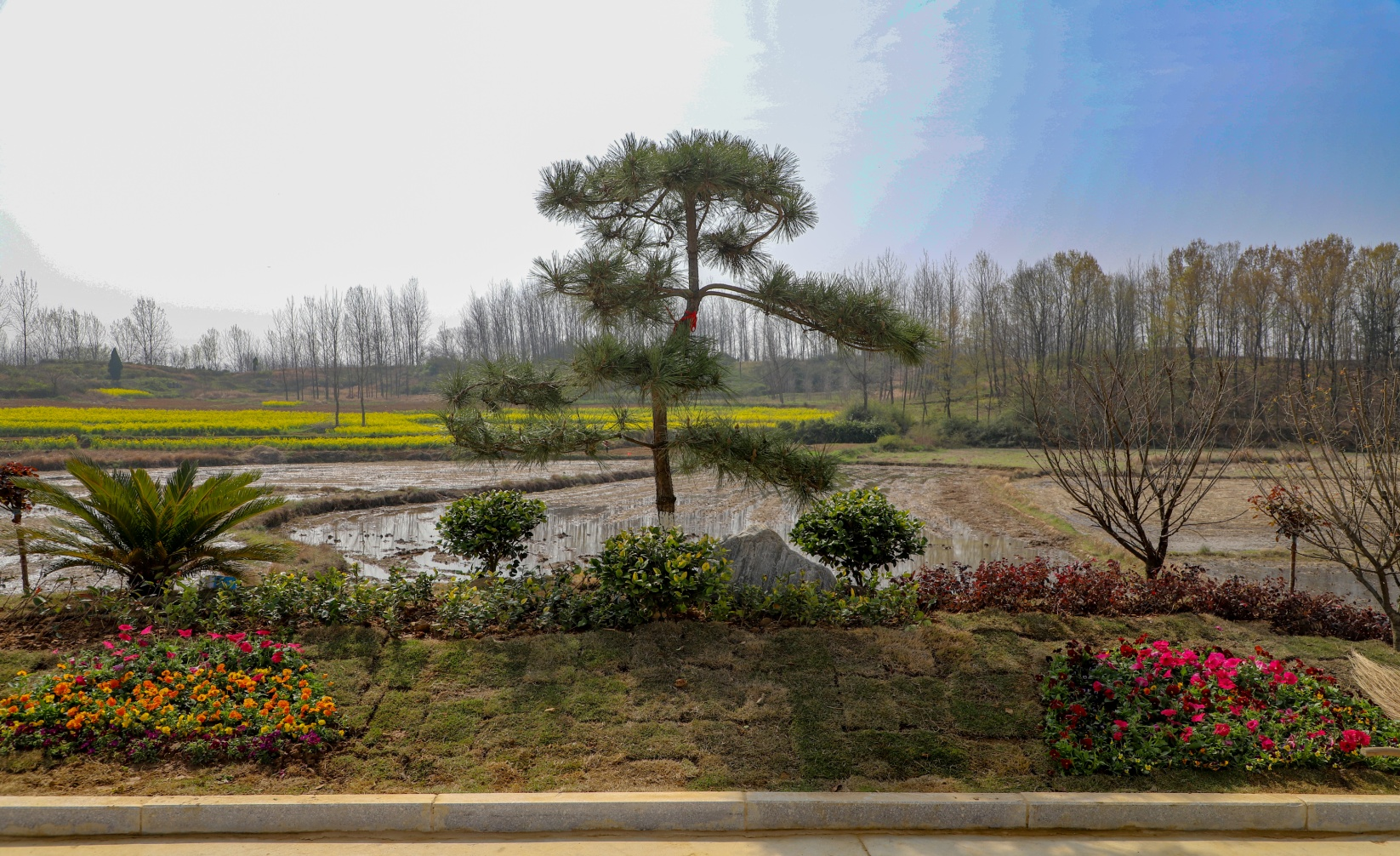 商城县汪桥镇:"人居环境展新绿,秀美乡村添新趣"