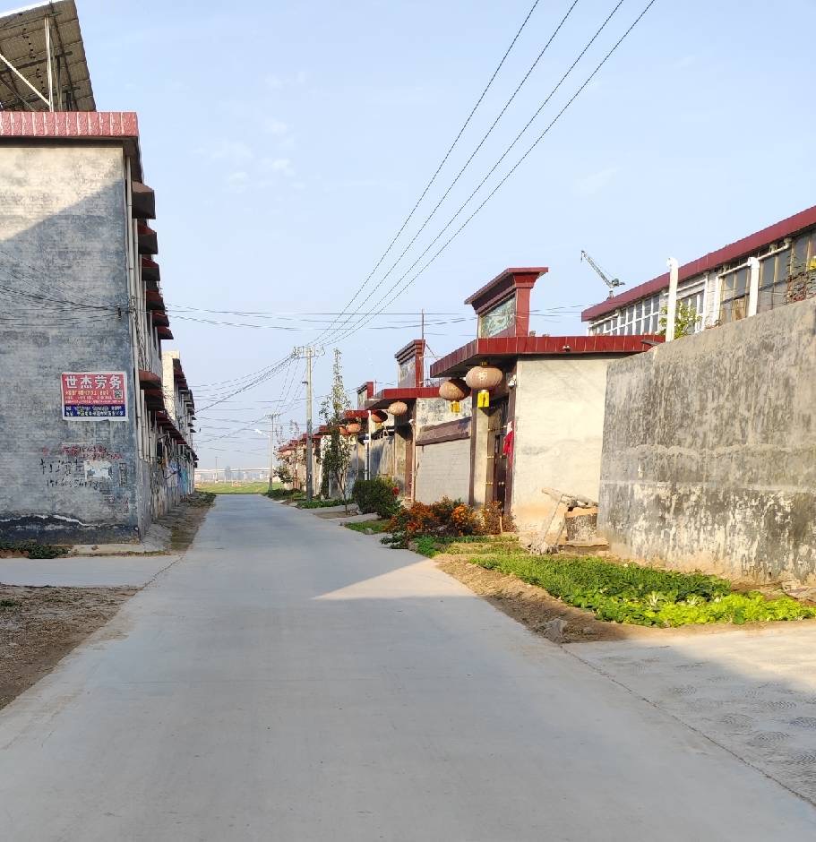 乡村振兴面对面丨美丽乡村新乡中卫辉市李源屯镇呈王屯村支部书记村委