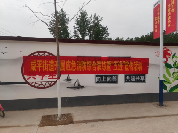通许县咸平街道扎实开展安全宣传进社区活动