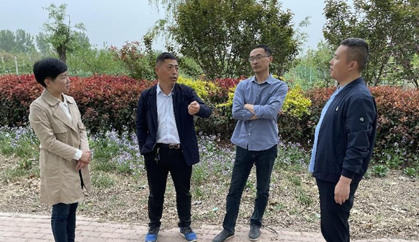 濮阳市森防站站长辛贺奎 高级工程师田勇到华龙区指导美国白蛾监测防控工作