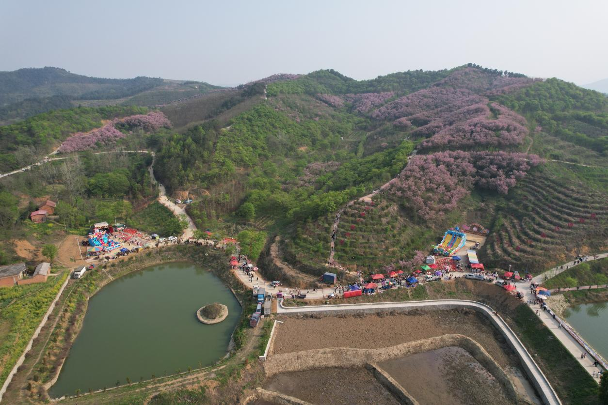 商城县汪桥镇樱花绽放春意浓激活乡村消费新潜力