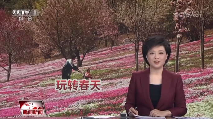 【央視關注河南安陽】“五一”臨近 旅游市場迎來預訂高峰