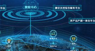 推动数字经济高质量发展