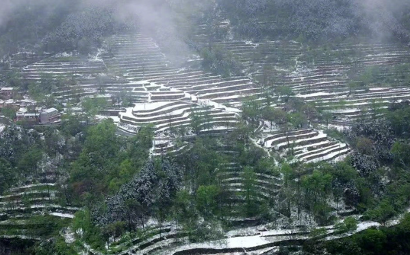 春雪罩青山 美景如画卷