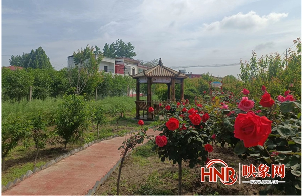 汝南县三门闸街道四美乡村建设亮点纷呈