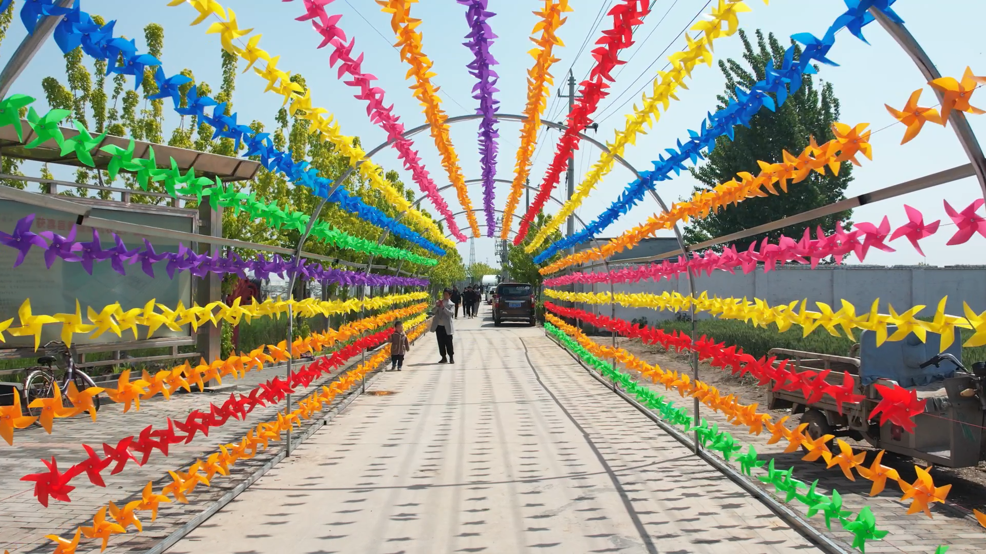 穿过300米月季长廊走进获嘉县后寺村,只见数万只风车组成的风车隧道