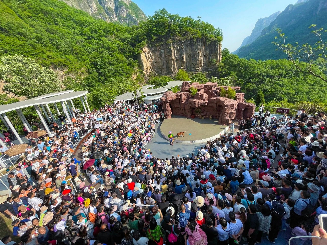 各省旅游收入排名2023(2021各省旅游收入排行榜)