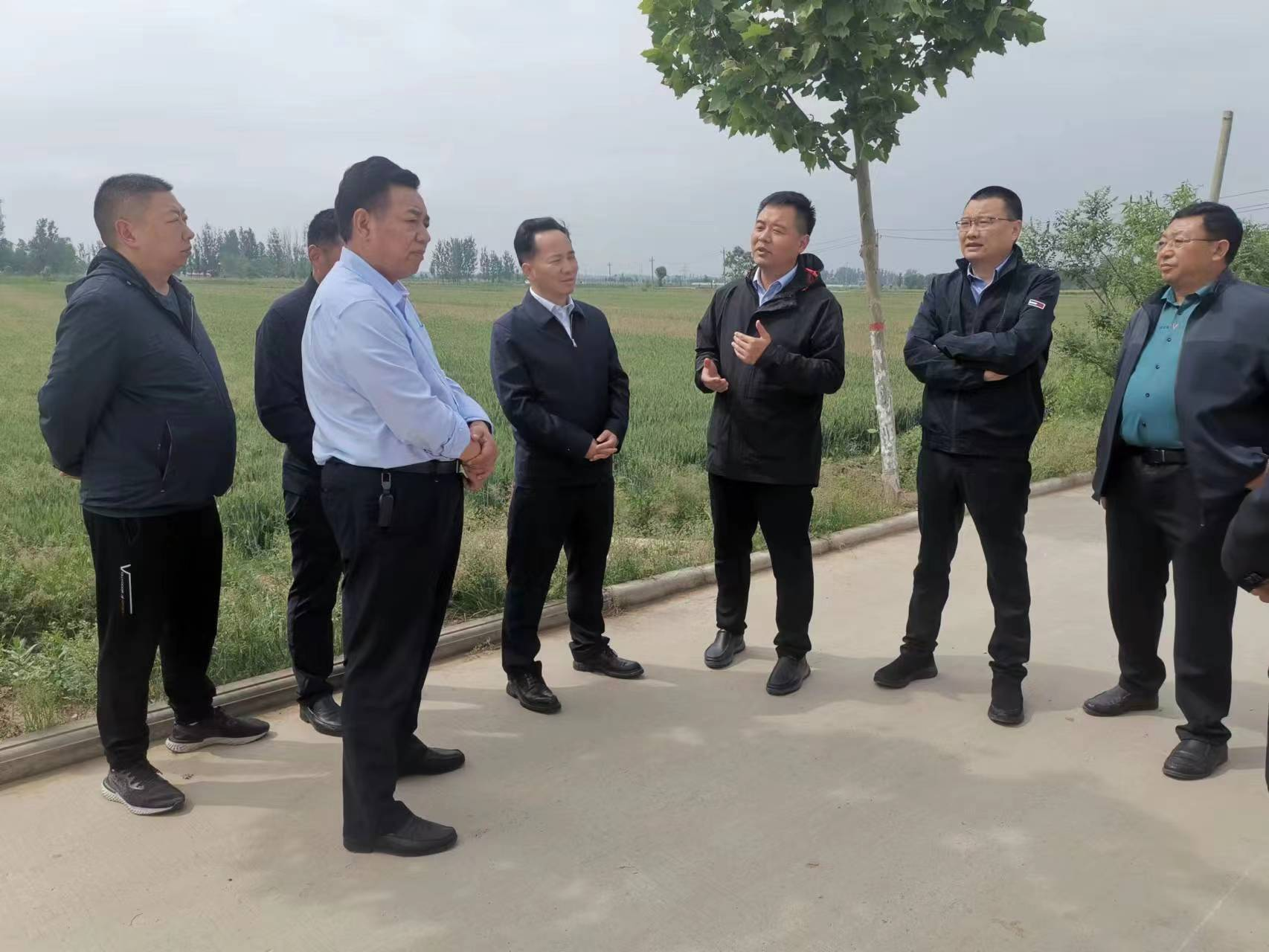 开封市祥符区杜良乡推进小麦保险确保种粮无忧