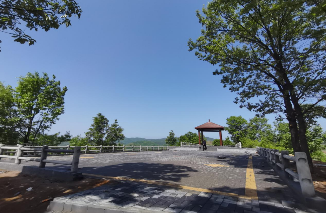 嵩县大坪乡三变改革将荒山贫山变金山