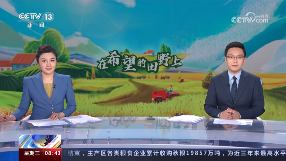 【央視關(guān)注河南】“優(yōu) 新 綠” 探尋麥田里的科技密碼