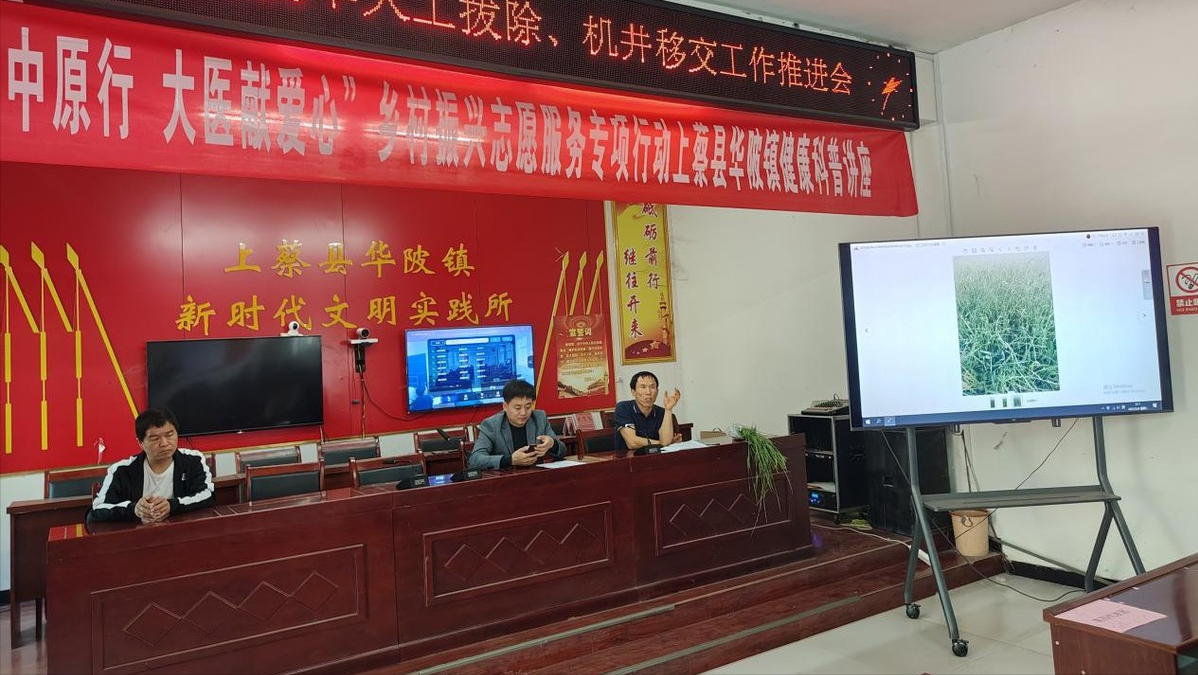 上蔡县华陂镇坚决扛牢粮食安全政治责任打赢多花黑麦草歼灭战