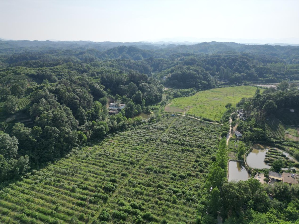 信阳市东双河镇保民村建设美丽乡村助力乡村振兴