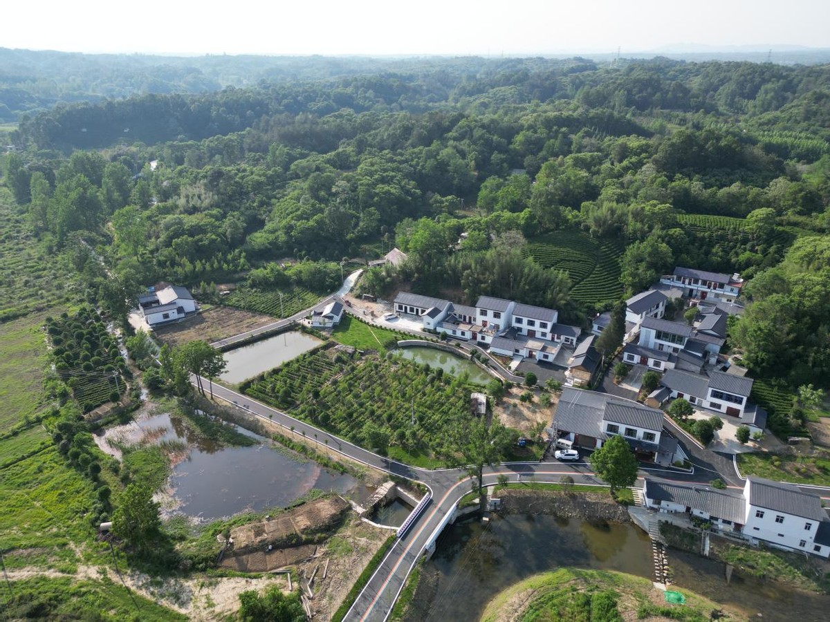 信阳市东双河镇保民村建设美丽乡村助力乡村振兴