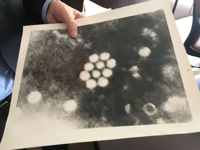 毛江森院士逝世_地震发生后从高楼撤离时应走_新生儿应吃哪种鱼肝油