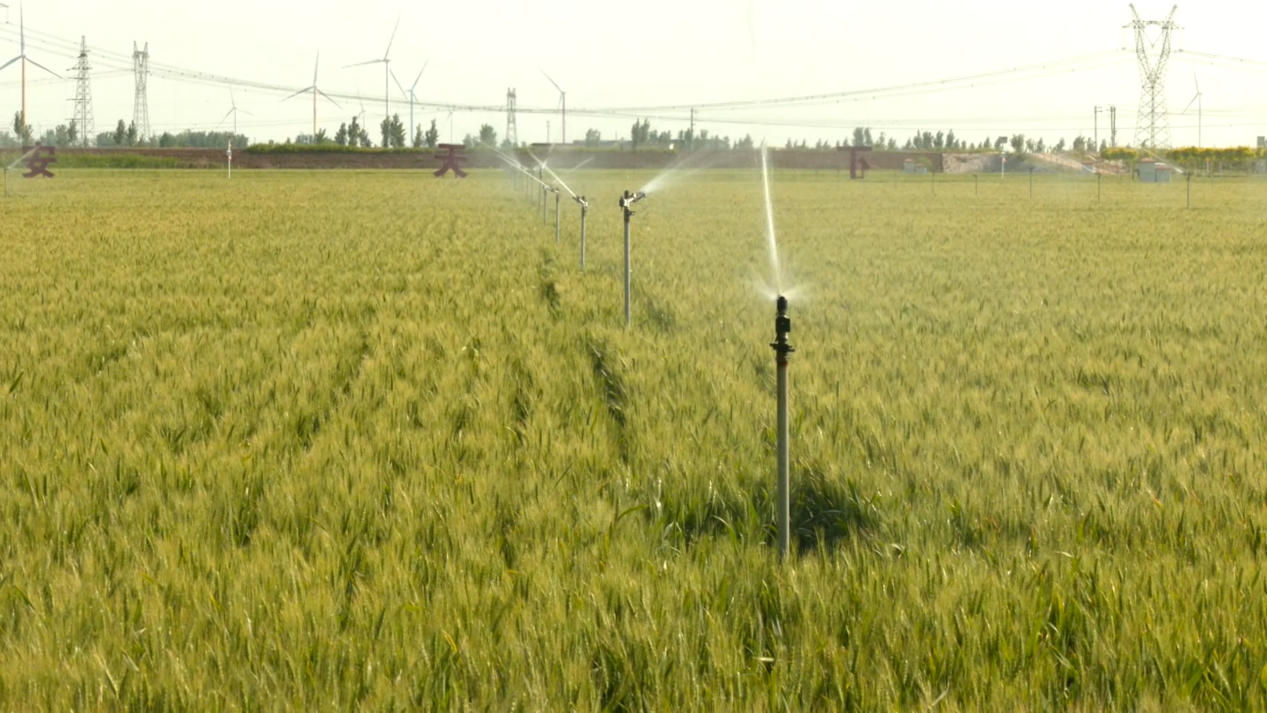 高标准农田高在哪4安阳灌排智能化种地成为科技流