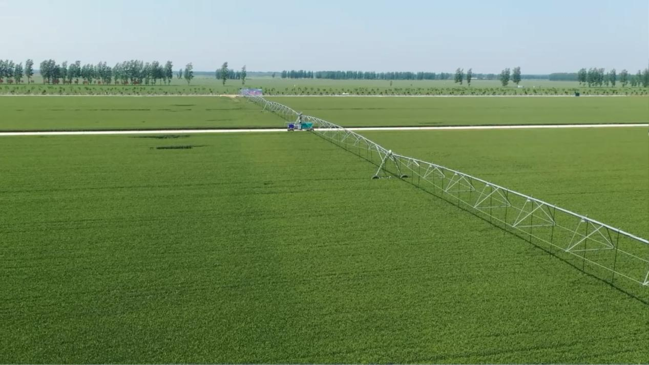 高标准农田高在哪1西平找准模式建高标一人能管万亩田