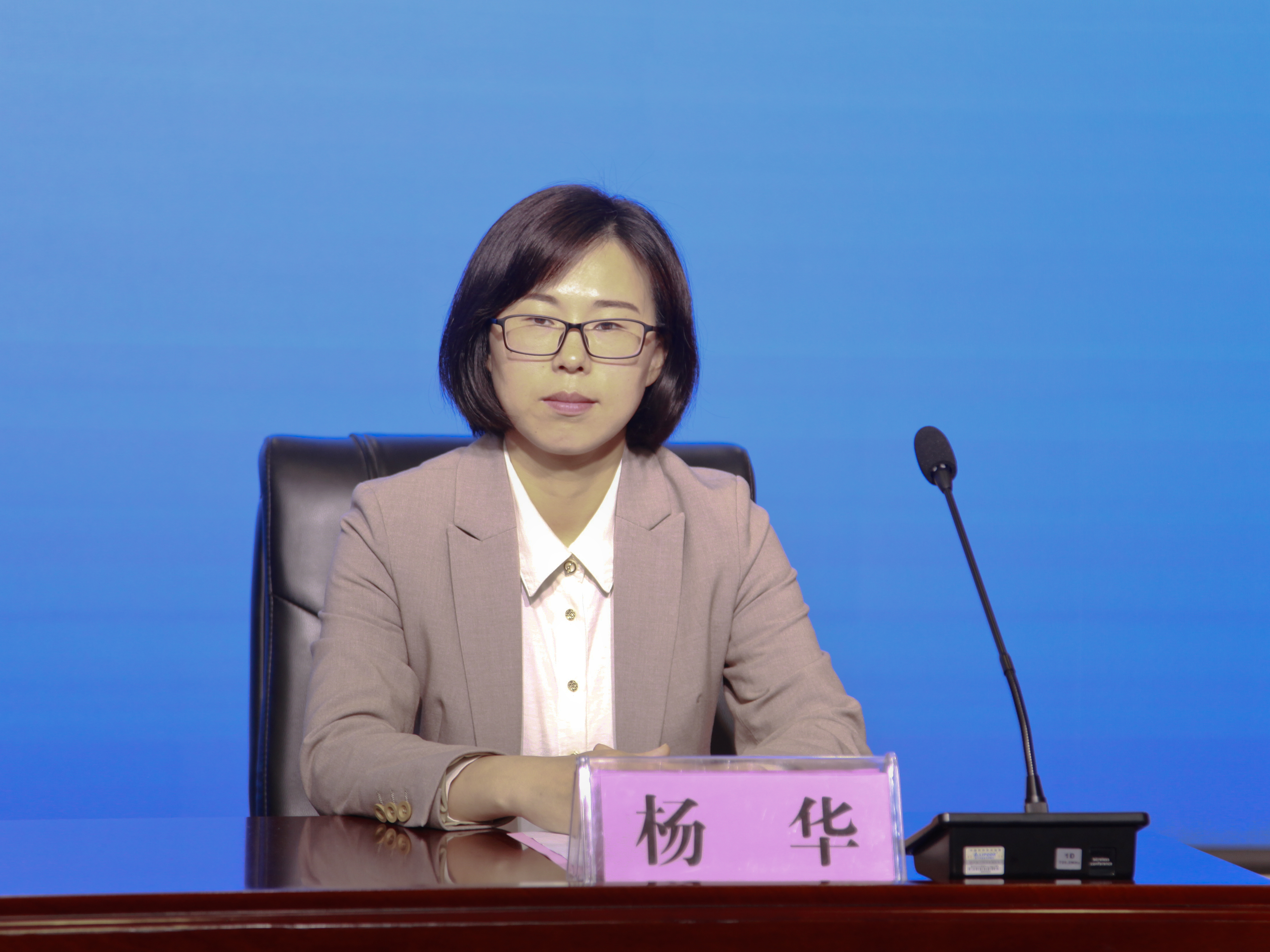 局副局长吴瑞敏,新县人民政府副县长杨华出席发布会并回答记者提问