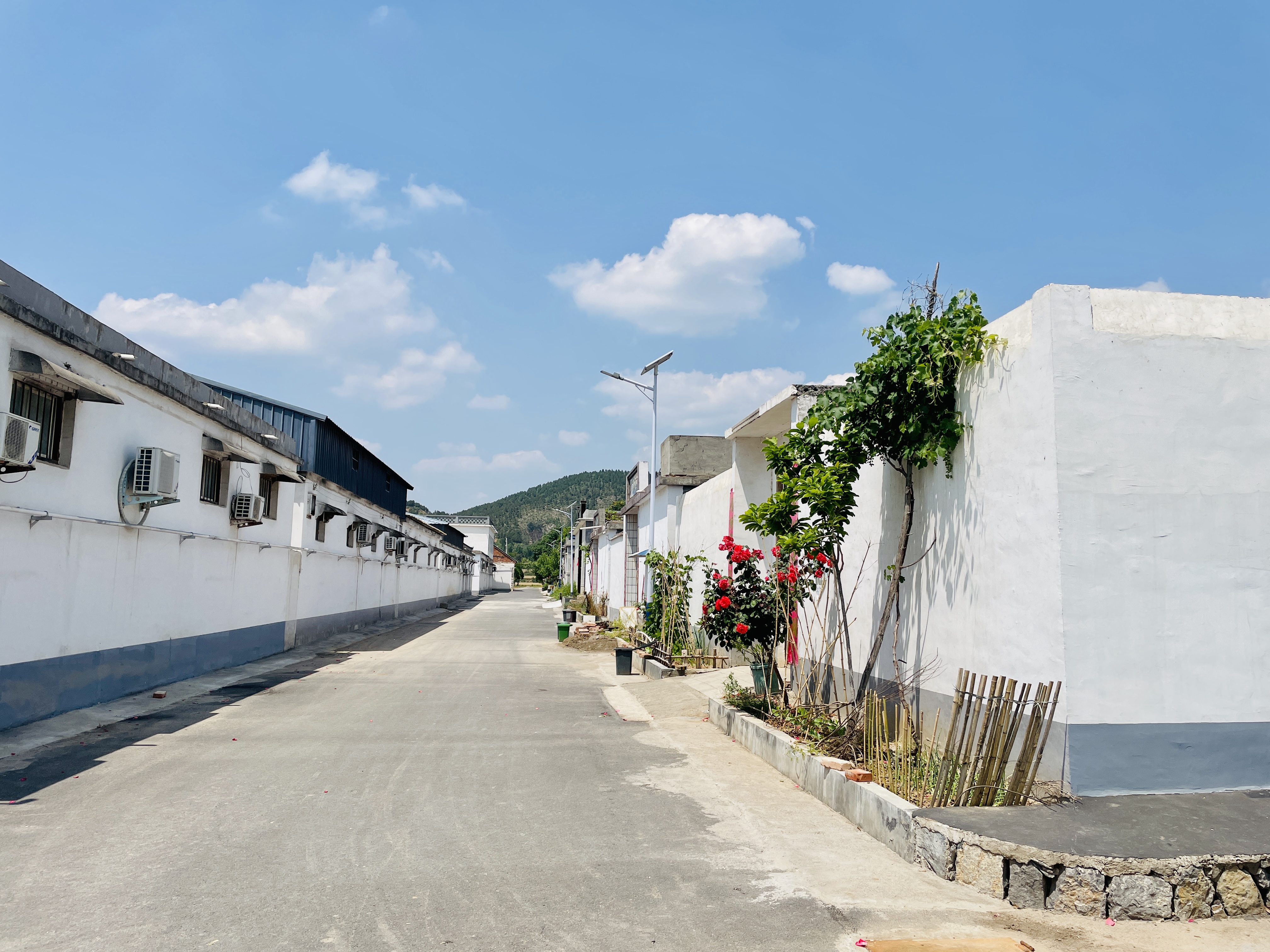 河南广播电视台乡村频道,农村农业农民杂志社,河南广播电视台农村广播