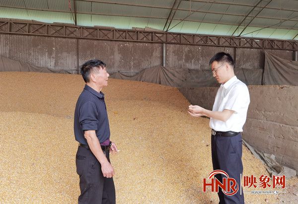 太康农商银行：优化金融服务 助力夏收夏种