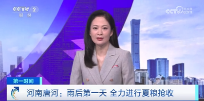 央視關注河南唐河丨雨后第一天 全力夏糧搶收