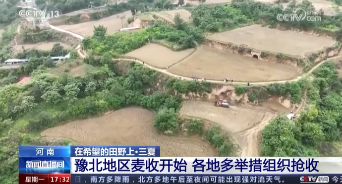 【央視關(guān)注河南】豫北地區(qū)麥?zhǔn)臻_始 各地多舉措組織搶收