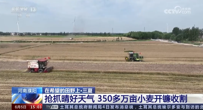 【央視關(guān)注河南濮陽(yáng)】搶抓晴好天氣 350多萬(wàn)畝小麥開鐮收割