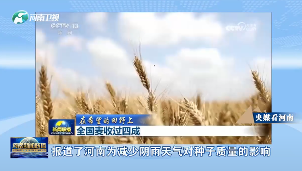 央媒看河南丨關(guān)注河南三夏麥?zhǔn)? width=