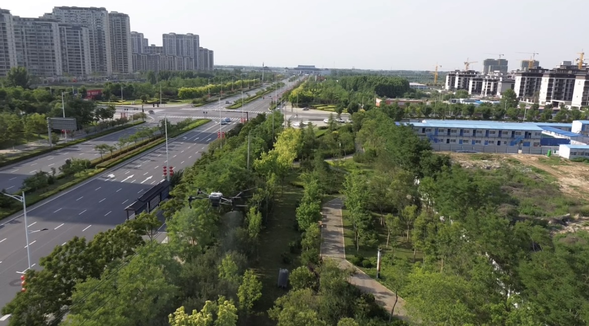 开封市示范区城管局组织开展第二轮美国白蛾防治行动