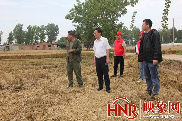 博爱县检察院：情系驻村帮扶   助力夏粮抢收