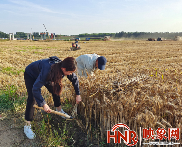 武陟县检察院：助力“三夏”生产    选调生在行动