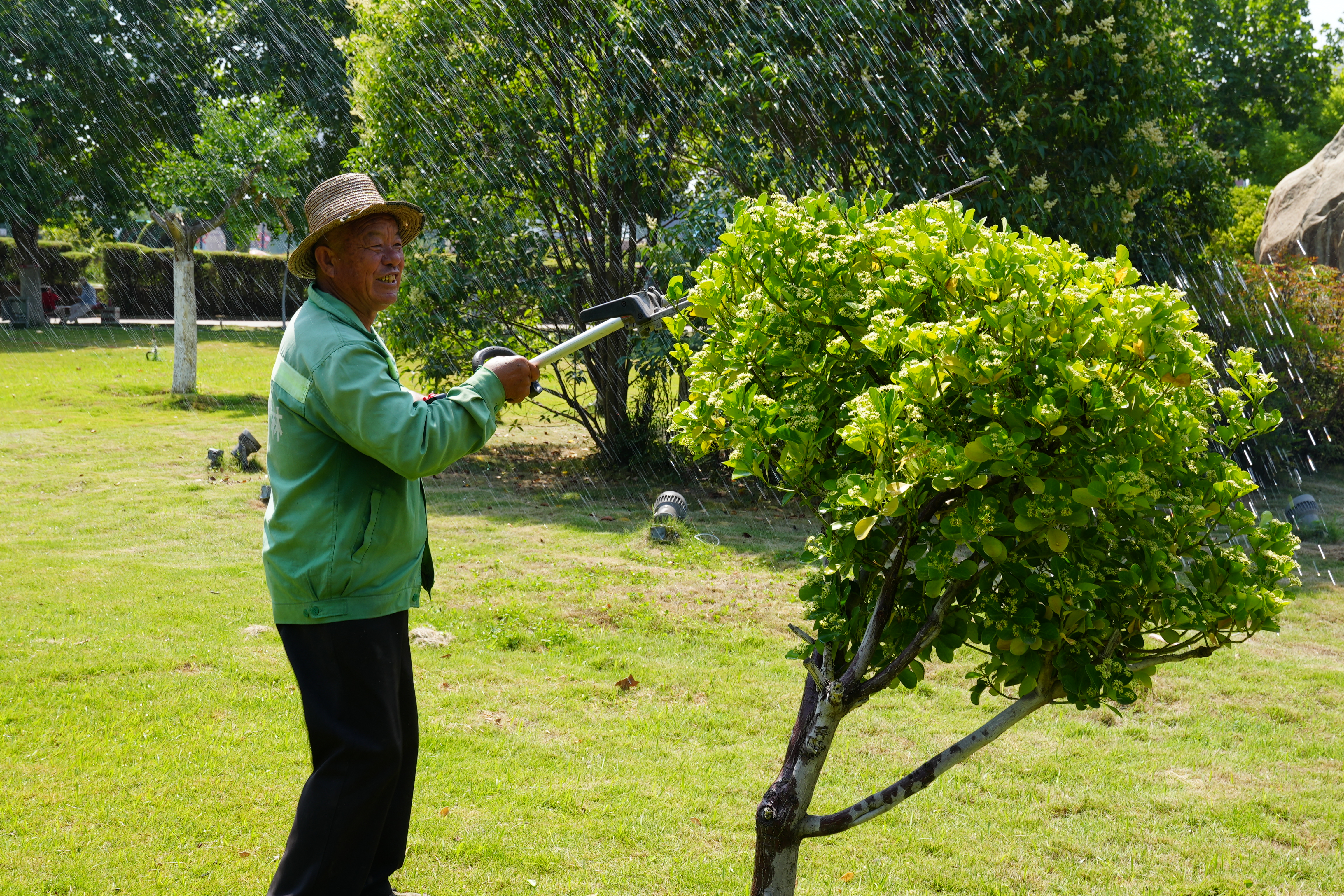 开封市示范区城管局：夏日炎炎绿草长 园林抗旱管护忙